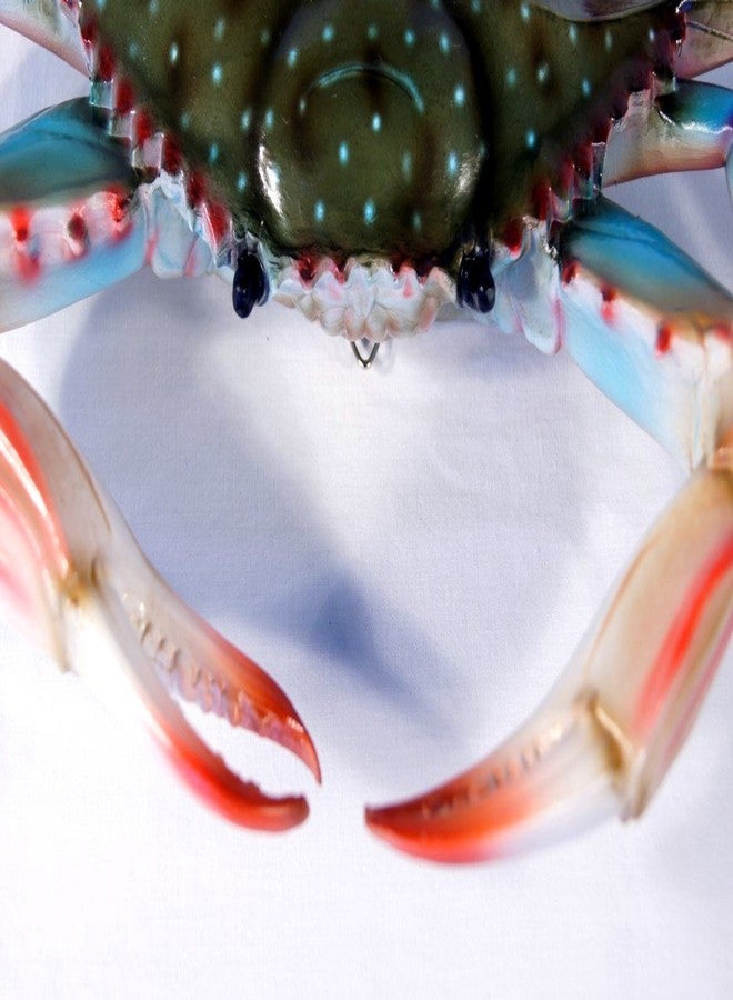 ال اكس ديكور جداري لغرفة الأطفال من LX Maryland، مقاس 10 بوصات، على شكل سلطعون أزرق، مناسب لغرفة الأطفال - Image 2