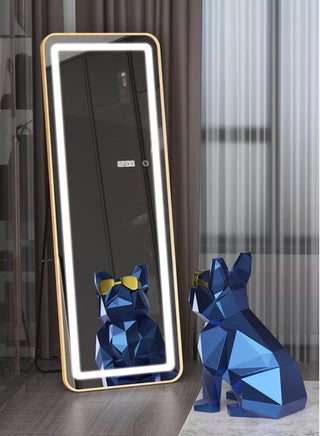 LED Mirror Modern Full Length Mirror Standing Hanging or Leaning Against Wall Floor Mirror Dressing Mirror Wall Mounted Mirror Aluminum Alloy Thin Golden Colour Frame 3 Color LED 50x160cm - pzsku/ZB3F5594743E07A2991E9Z/45/1748734010/a5aa5857-b1b6-4bad-ba93-f239e50394aa