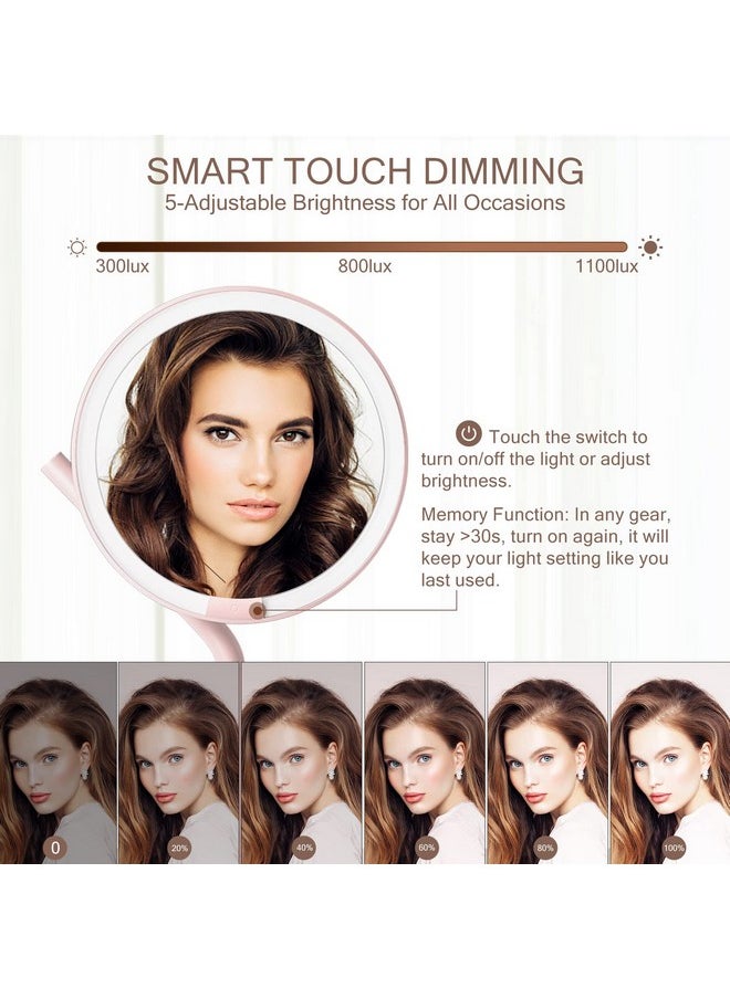AMIRO - Professional 8 Led Lighted Makeup Mirror With 5Level Brightness With 5X Magnifying Small Mirror Tabletop Rechargeable Cosmetic Mirror With Touch Control 180°Rotation - Image 1