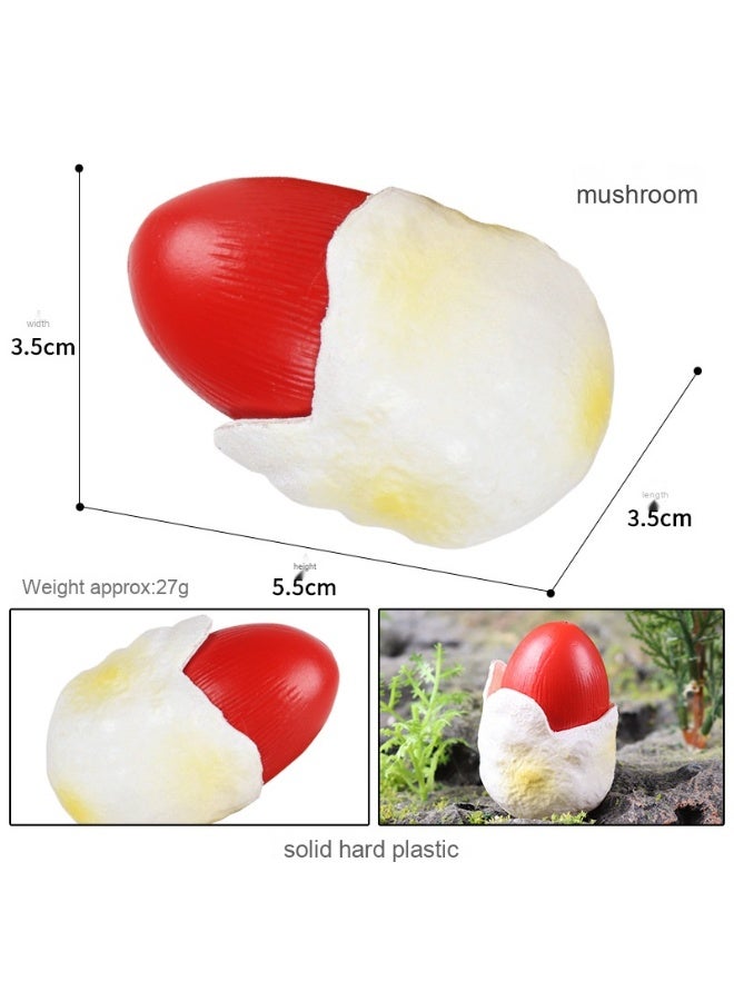 NIBEMINENT Artificial Fake Mushroom Model - Essential for Early Education Tools and Scene Photography