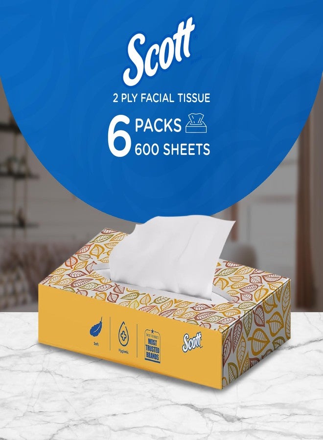 سكوت علبة مناديل وجه مسطحة من طبقتين من كيمبرلي كلارك سكوت، 100 منديل، عبوة من 6 قطع (إجمالي 600 منديل) (60066) - Image 2