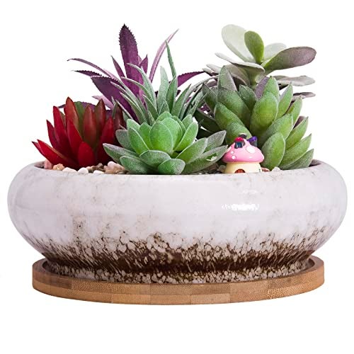 ARTKETTY Succulent Pots - 7.3 Inch Ceramic Bonsai Pot with Tray, Large Succulent Planters with Drainage, Shallow Planter for Indoor Cactus Plants Decorative Flower Plant Container Bowl - Image 1