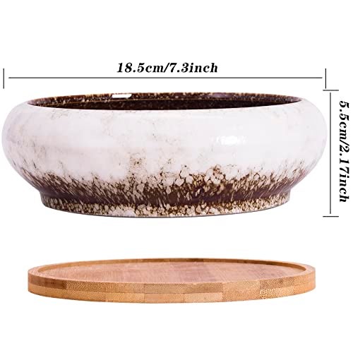 ARTKETTY Succulent Pots - 7.3 Inch Ceramic Bonsai Pot with Tray, Large Succulent Planters with Drainage, Shallow Planter for Indoor Cactus Plants Decorative Flower Plant Container Bowl - Image 3