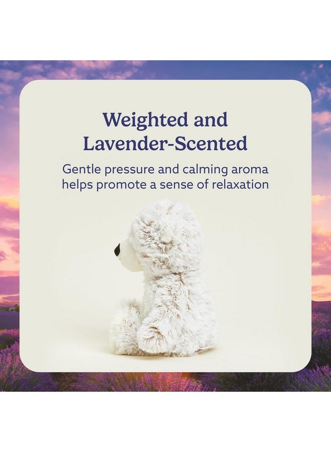 warmies Microwavable & Weighted Stuffed Animals, Marshmallow Brown Bear - Heated Stuffed Animal Plushie for Warmth & Comfort - Soft Plush Toys for Adults & Children (Boys, Girls, Babies & Toddlers) - Image 3