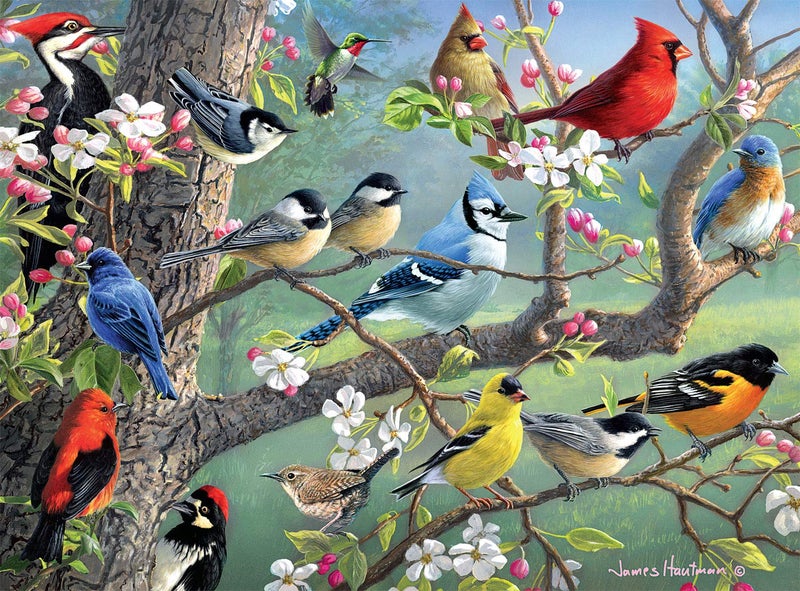 Buffalo Games - Hautman - Birds in an Orchard - 1000 Piece Jigsaw Puzzle For Adults -Challenging Puzzle Perfect for Game Nights - Finished Size is 26.75 x 19.75 - Image 1