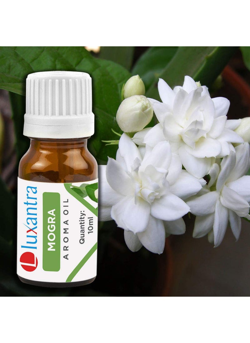Luxantra Luxantra Ceramic Aroma Diffuser Oil Burner with Mogra Jasmine Aroma Oil with 2 Tlight Candle Free for Home Office Hotel Spa  - Image 3