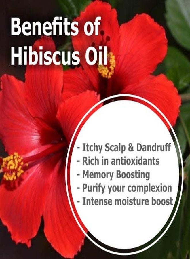 سالفيا زيت عطري نقي 100% وغير مخفف من نبات الكركديه (Hibiscus Rosa Sinensis) - 500 مل - Image 3