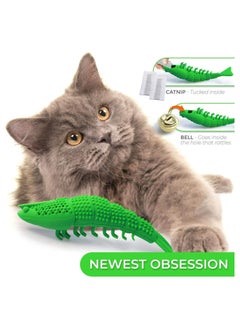 Cat Toothbrush Catnip Toy Durable Hard Rubber Cat Dental Care, Cat Interactive Toothbrush Chew Toy - pzsku/ZB3FC2F2F31C296EEB1C1Z/45/_/1724818224/8535e9ba-5244-419e-8d12-33df31e5e85b