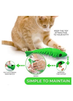 Cat Toothbrush Catnip Toy Durable Hard Rubber Cat Dental Care, Cat Interactive Toothbrush Chew Toy - pzsku/ZB3FC2F2F31C296EEB1C1Z/45/_/1724818234/4bbcf925-62c5-4db0-8b84-c417aba0ca17