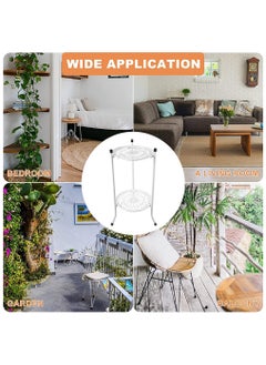 URbazaar Metal Plant Stand Two-tier Flower Display Shelf Indoor Flower Plant Rack Iron Plant Stand Pot Stands Flower Pot Holde for Home office  - Image 5
