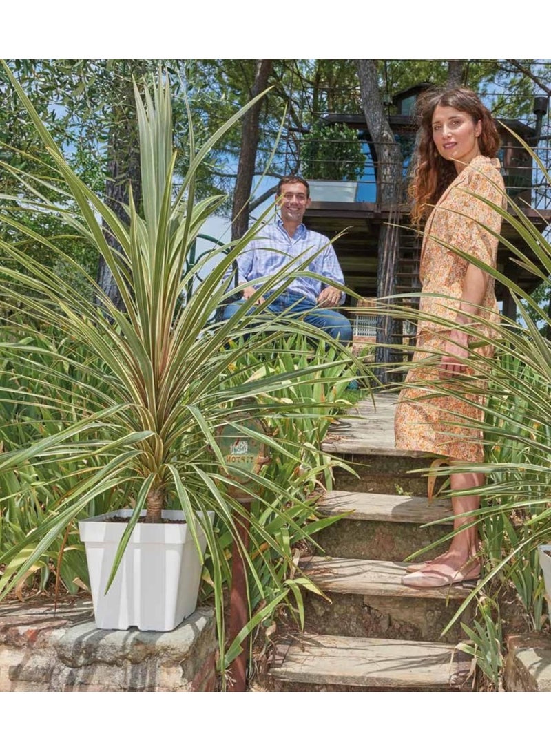 أيدل وعاء زراعة مربع كلاسيكي غير لامع 28 سم - متاح بألوان متعددة - للاستخدام الداخلي والخارجي - صندوق زراعة بلاستيكي متين للاستخدام في المنزل والحديقة والمكتب والشرفة - صنع في إيطاليا - بواسطة إيديل - Image 2