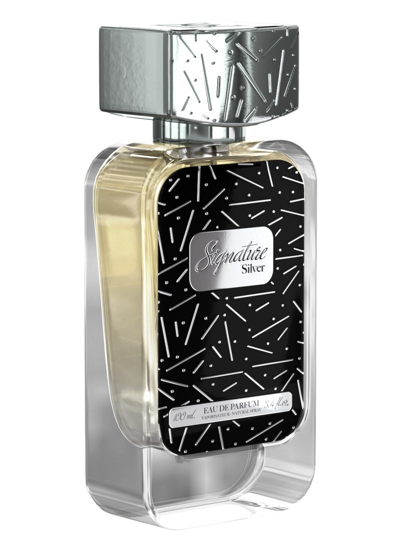 Signature silver 100ml