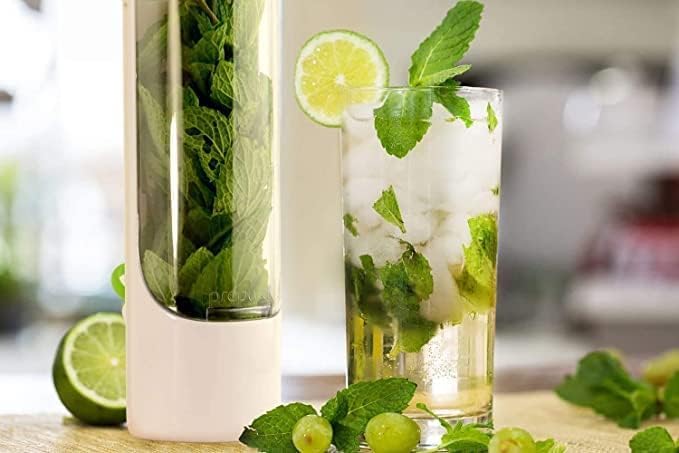 WebWares WebWares Herb Saver Best Keeper for Freshest Produce Coriander Leaves and All Type Green Leaves Storage Case Refrigerator Storage Container for Well Packed Herb Holder  - Image 5
