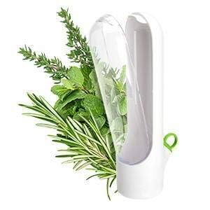 WebWares WebWares Herb Saver Best Keeper for Freshest Produce Coriander Leaves and All Type Green Leaves Storage Case Refrigerator Storage Container for Well Packed Herb Holder  - Image 4