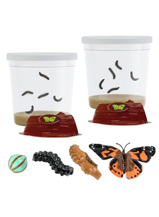 Insect Lore Two Cups of Live Caterpillars with Butterfly Life Cycle Figurines | Butterfly Habitat or Kit Refill | Painted Lady Butterflies - Image 1