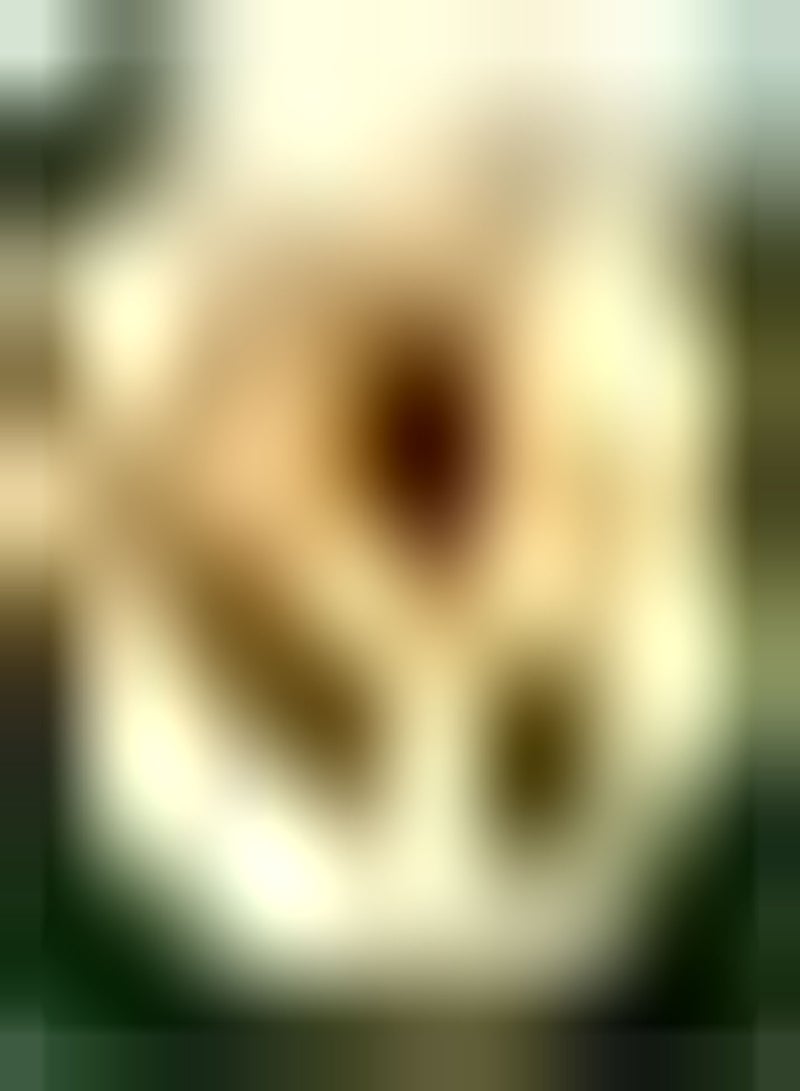 GGOOT 3Stück gemischte Farb Dahlienzwiebeln im Topf Garten Büro Balkon Dekoration Gute Wahl für Heimdekoration Farbe im Garten Schnittblumenstrauß - Image 1