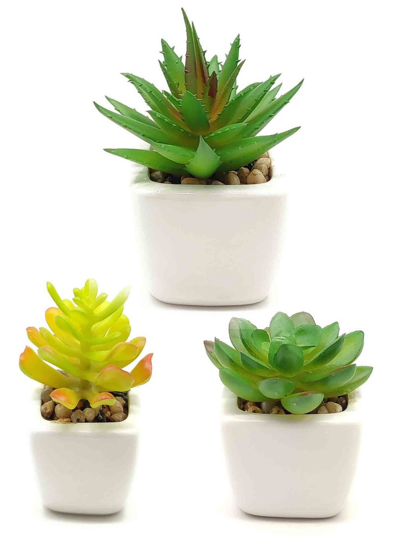 co arma 3 pieces of artificial plant with multicolored pot  - Image 2
