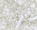 PPhtony Mixed Craft Beads 1000Pcs20g Glass Seed Beads Tube Beads Bugle Beads 1545mm Small Loose Spacer Beads for DIY Bracelets Necklace Earring Jewelry Making Silver White - Image 2