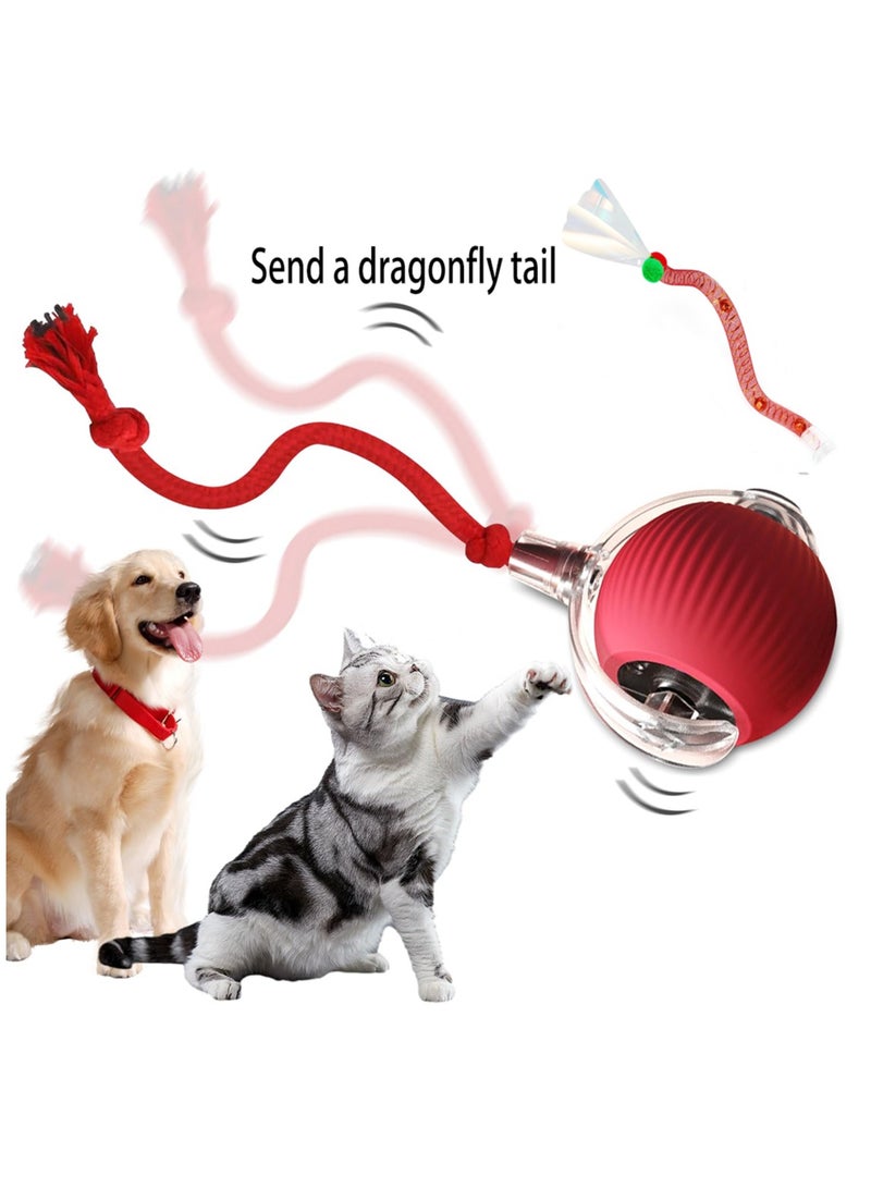 HEYAN Interactive Cat Toys for Indoor Cats, Agile Moving Cat Ball with Elastic Tail,Automatic Cat/Kitten Toys for Bored Indoor Adult Cats,Motion Activated  - Image 1