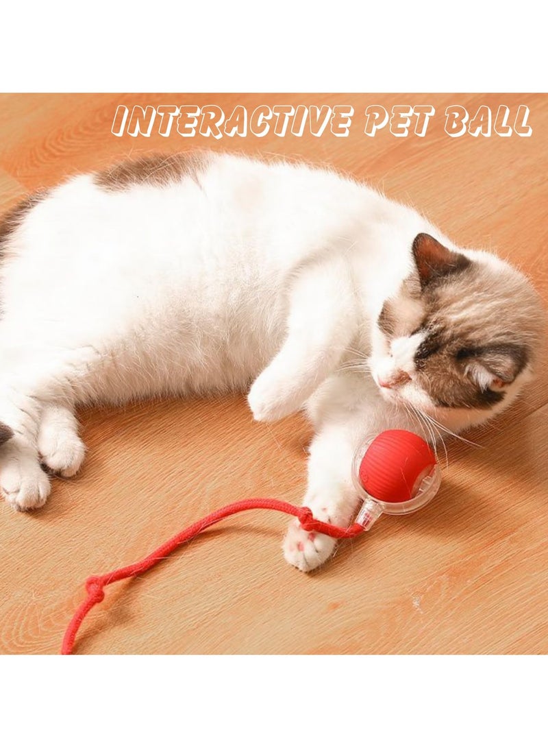 HEYAN Interactive Cat Toys for Indoor Cats, Agile Moving Cat Ball with Elastic Tail,Automatic Cat/Kitten Toys for Bored Indoor Adult Cats,Motion Activated  - Image 4