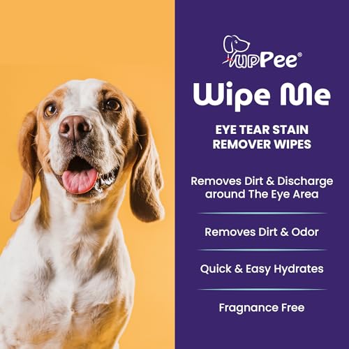 PupPee 100 Count Pet Wipes for Cleaning Eye Tear Stain | Anti-Bacterial Pet Wipes for Dogs & Cats | 100% Biodegradable | Cleansing, Deodorising & Grooming Wipes | Vitamin E & Olive Oil - Image 4