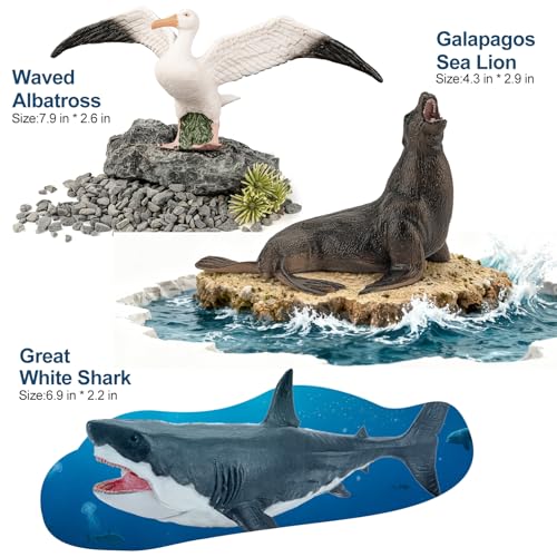 THINKBAY 8PCS Galapagos Island Animal Figurines Set Realistic Giant Tortoise Sea Animal Toys Includes Shark Hawk Crab Sea Lion BlueFooted Booby Educational Toys for Toddlers Kids Age 35 57 - Image 5