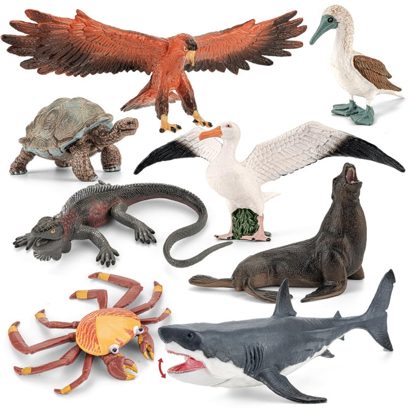 THINKBAY 8PCS Galapagos Island Animal Figurines Set Realistic Giant Tortoise Sea Animal Toys Includes Shark Hawk Crab Sea Lion BlueFooted Booby Educational Toys for Toddlers Kids Age 35 57 - Image 3
