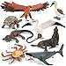 THINKBAY 8PCS Galapagos Island Animal Figurines Set Realistic Giant Tortoise Sea Animal Toys Includes Shark Hawk Crab Sea Lion BlueFooted Booby Educational Toys for Toddlers Kids Age 35 57 - Image 2
