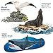 THINKBAY 8PCS Galapagos Island Animal Figurines Set Realistic Giant Tortoise Sea Animal Toys Includes Shark Hawk Crab Sea Lion BlueFooted Booby Educational Toys for Toddlers Kids Age 35 57 - Image 4