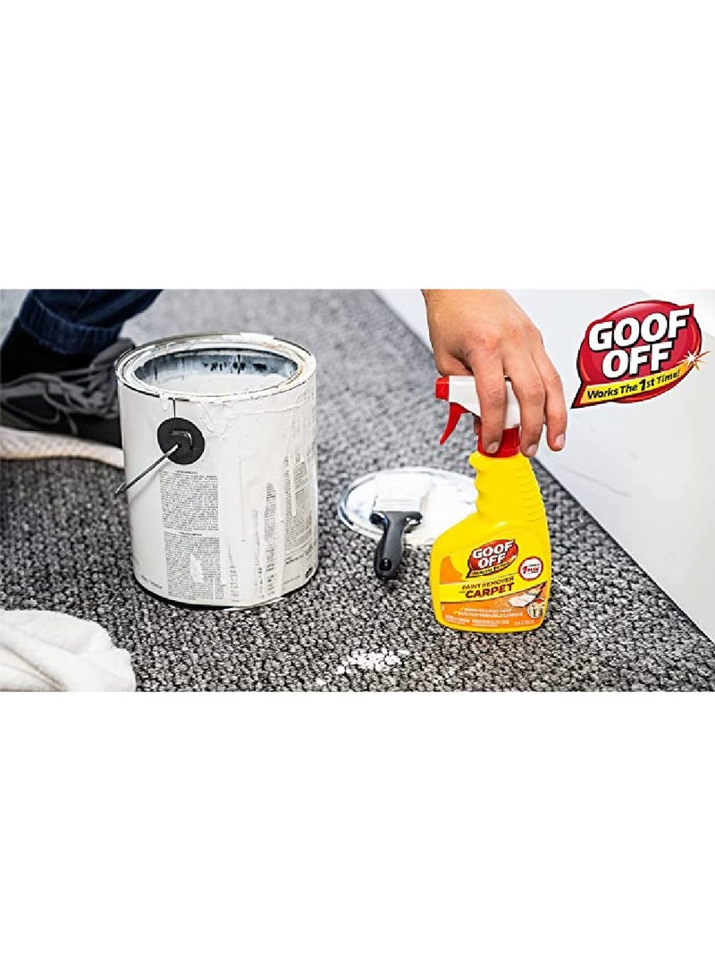 Goof Off Paint Remover for Carpet 12Oz - pzsku/ZB40ABD4FD8FA7D89EB0AZ/45/_/1685106222/f4189e90-c0f6-4eea-a002-89b73386ba4d