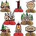 Funmemoir Lumberjack First Birthday Decorations 8PCS Wild One Lumberjack Honeycomb Centerpieces Buffalo Plaid Hunting Camping Bear Adventure Woodland 1st Birthday Decorations for Boys - Image 2