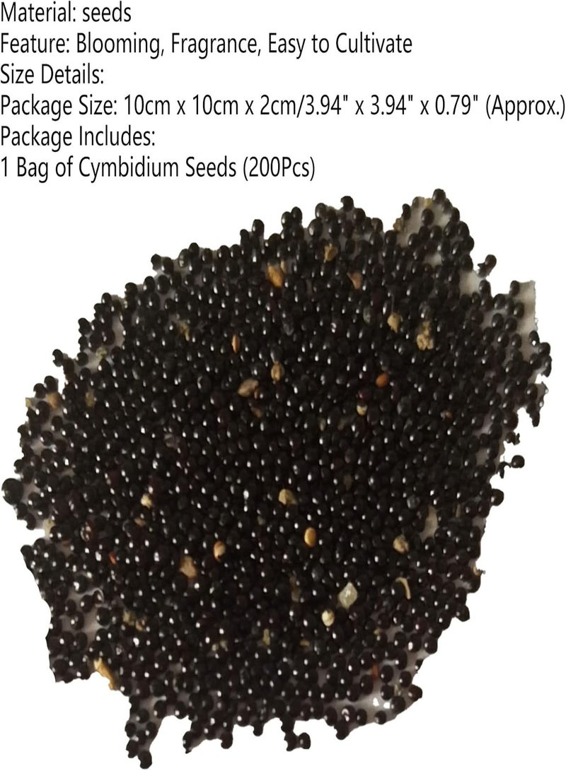 GGOOT 200Pcs Cymbidium seeds Bloom Bright Bright High Survival Rate Household Flower seeds Rose Red - Image 3