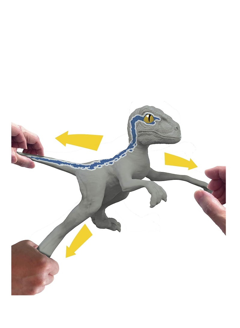 ستريتش تمتد العالم الجوراسي الأزرق فيلوسيرابتور - Image 2