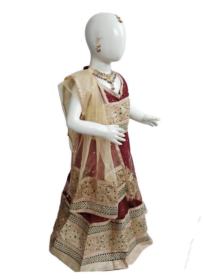 بوك ماي كوستيوم زي تنكري للأطفال من BookMyCostume رادا ليهنغا غاغرا تشولي للبنات - بريميوم - عنابي وذهبي من عمر سنتين إلى ثلاث سنوات - Image 2