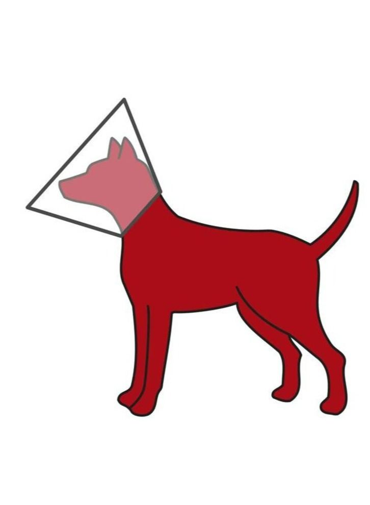 تريكسي طوق حماية للحيوانات الأليفة 20 سم - Image 2