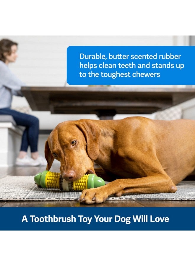 بيت سيف ألعاب الكلاب Busy Buddy Cravin' Corncob - لعبة مضغ لحمل حلقات المكافآت - مطاطية خالية من مادة BPA - برائحة الزبدة - لعبة ألغاز تفاعلية للحيوانات الأليفة لعلاج الملل أو قلق الانفصال - للكلاب الصغيرة والكبيرة - Image 3