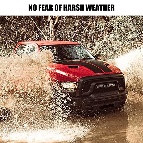 KSaAuto ملحقات هوائي KSaAuto لدودج رام 1500 2500 3500 2009-2023، هوائي مطاطي مرن بطول 13 بوصة، هوائي جديد على شكل لولبي لشاحنة رام، استقبال راديو دودج رام FM/AM، KR-2 (رأس مائل) - Image 5