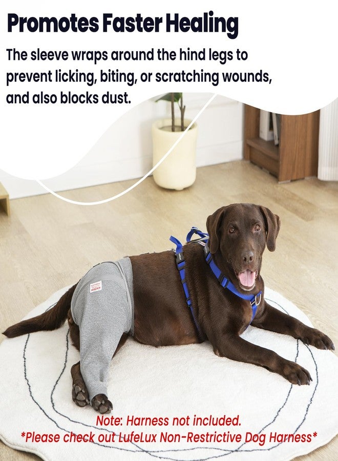 LufeLux Dog Leg Sleeve for Stop Licking & Post-Surgery Recovery | Protects Injured Rear Legs from Excessive Licking & Scratching | Cone Alternative with Breathable Fabric | Easy to Use (Grey, X-Large) - Image 3