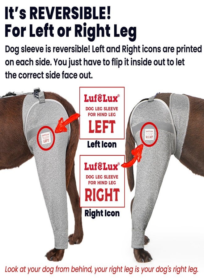 LufeLux Dog Leg Sleeve for Stop Licking & Post-Surgery Recovery | Protects Injured Rear Legs from Excessive Licking & Scratching | Cone Alternative with Breathable Fabric | Easy to Use (Grey, X-Large) - Image 4