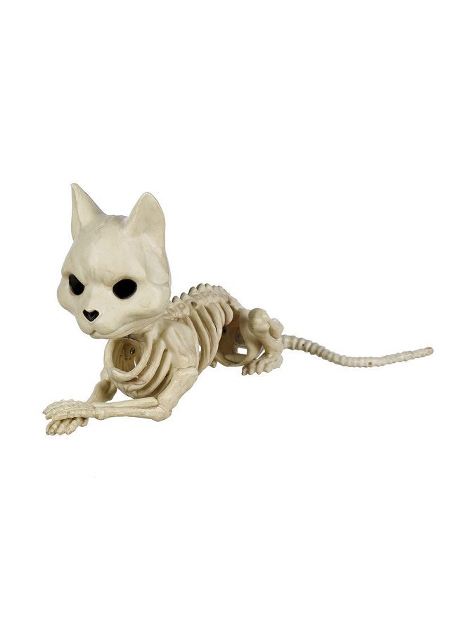 Crazy Bonez Cute Skeleton Cat - Image 1