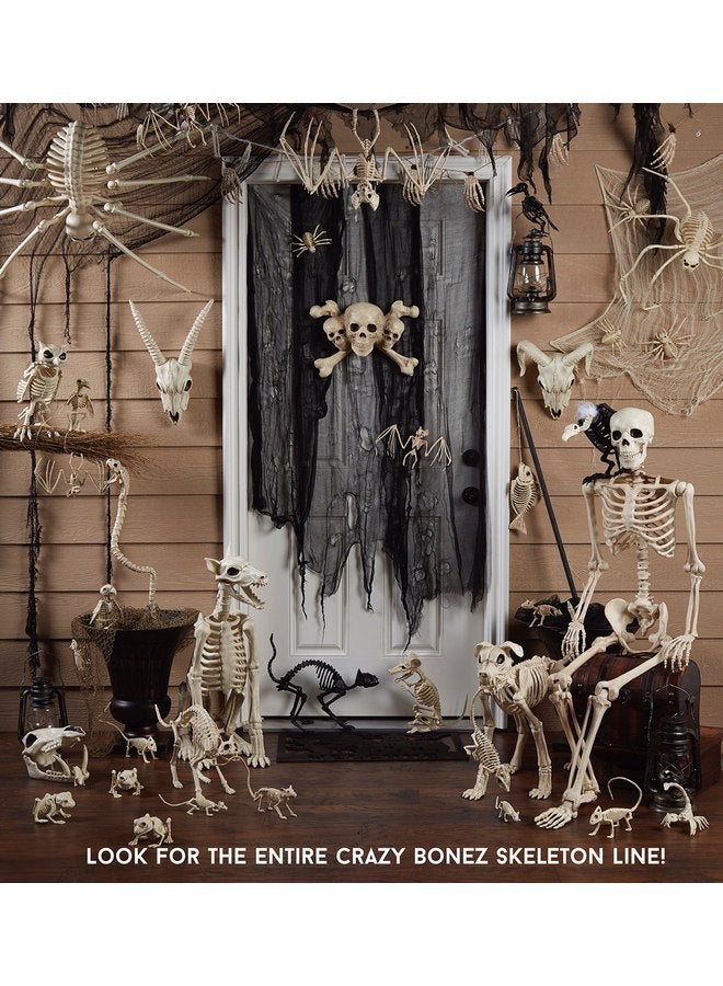Crazy Bonez Cute Skeleton Cat - Image 4
