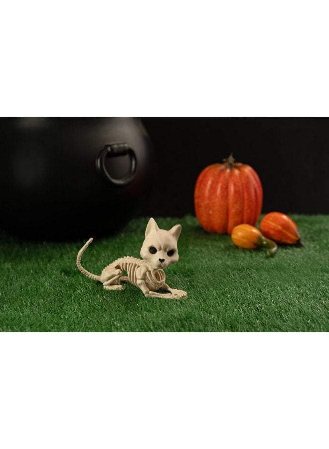 Crazy Bonez Cute Skeleton Cat - Image 3