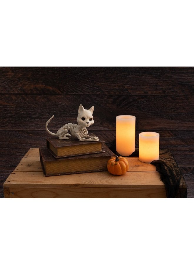 Crazy Bonez Cute Skeleton Cat - Image 2