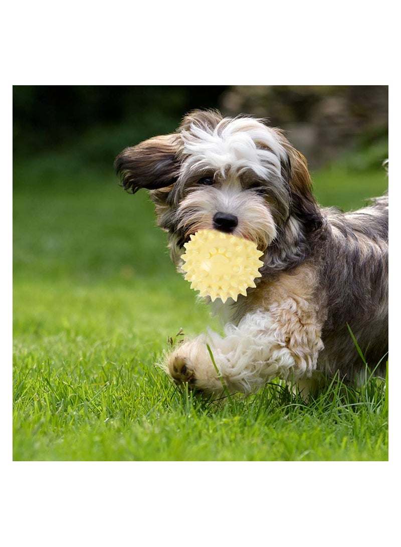 Interactive Dog Spiky Balls for Puppies 3pcs Bite Resistant Molar Toys Ideal for Training and Play - Image 1