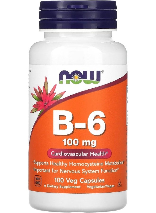now Foods B-6 100 Mg 100 Caps - Image 1