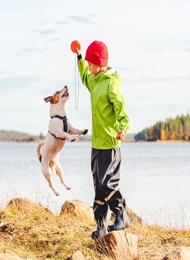 حزمة Pifohsm مكونة من 8 كرات مطاطية بحبل، كرة ذات شريط مطاطي، كرة معصم بحبل، كرة إرجاع، أطفال معصم، كرة سبرينغبول بحبل للأطفال، كرة القدم للبالغين، كرة السلة، الكرة اللينة، البيسبول - Image 1