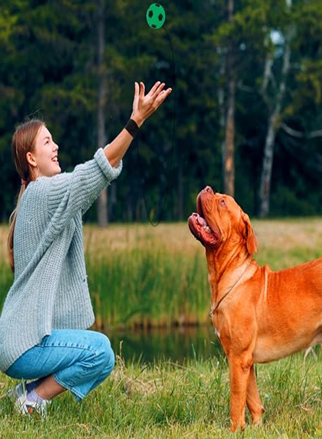 حزمة Pifohsm مكونة من 8 كرات مطاطية بحبل، كرة ذات شريط مطاطي، كرة معصم بحبل، كرة إرجاع، أطفال معصم، كرة سبرينغبول بحبل للأطفال، كرة القدم للبالغين، كرة السلة، الكرة اللينة، البيسبول - Image 2