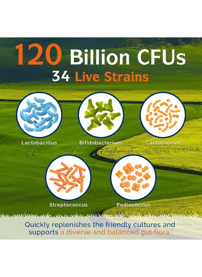 Innate Vitality - Innate Vitality 3-in-1 Probiotics 120 Billion CFUs 34 Strains with Organic Prebiotics & Digestive Enzymes - 30 Vegan Caps - Image 1