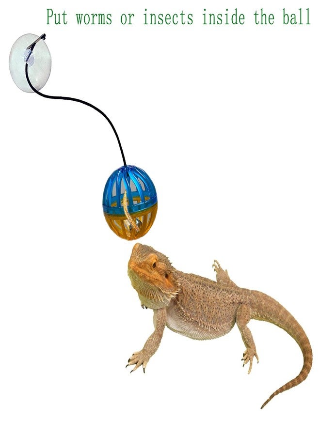 Koomduk 6 Pack Bearded Dragon Toys Accessories,Bearded Dragon Toy Balls Bell,Fit for Lizard Small Reptile Habitat Terrarium Tank - Image 2