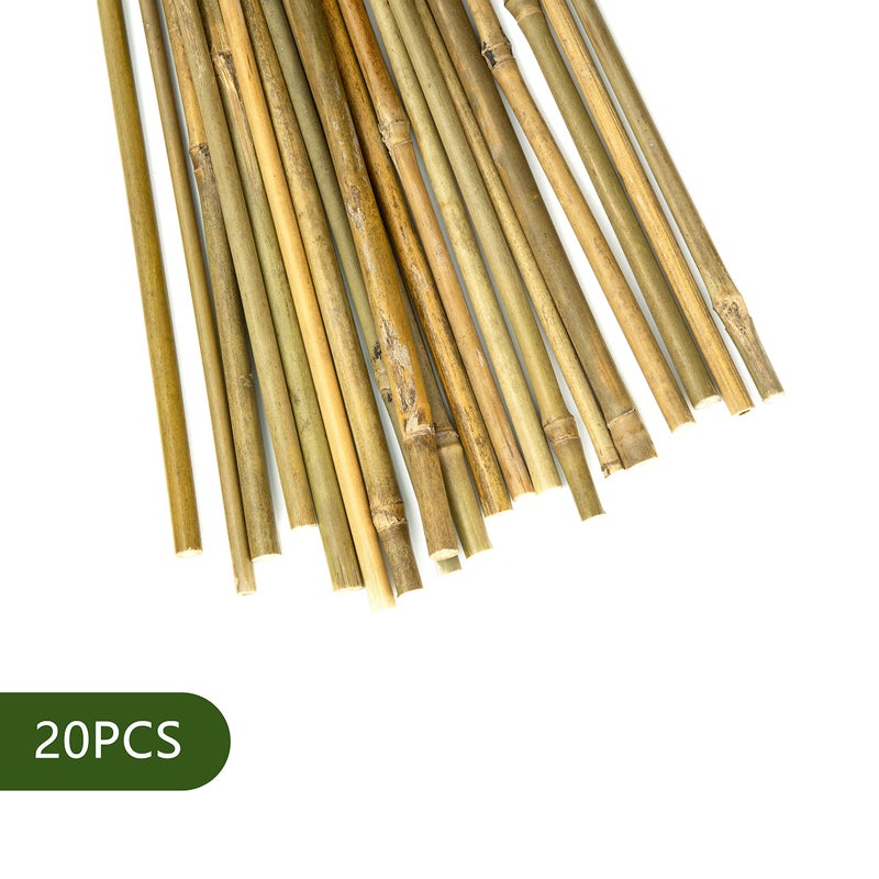 Pllieay 20pcs 12 Inch Plant Stakes, Garden Stakes, Bamboo Stakes, Plant Support Stakes for Indoor Plants, Tomato Stakes - Image 2